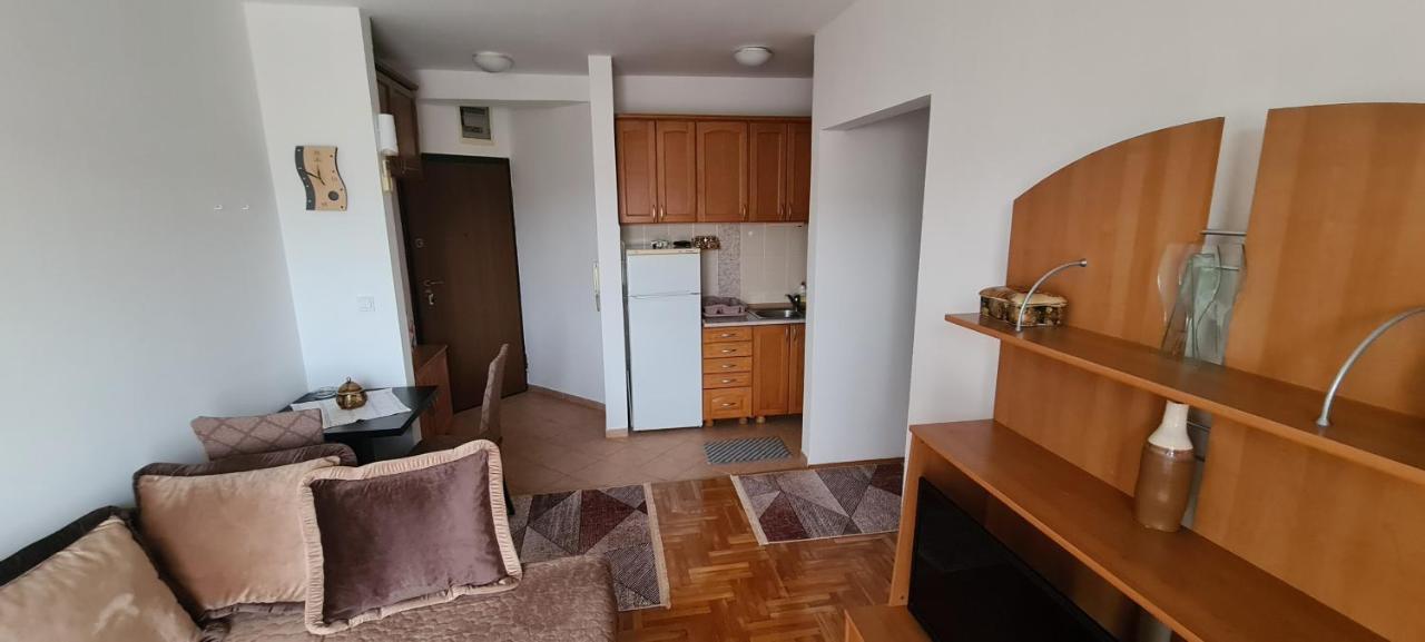 Apartman Velimir Stari Aerodrom Podgorica Exterior photo